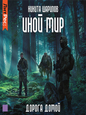 cover image of Иной мир. Дорога домой